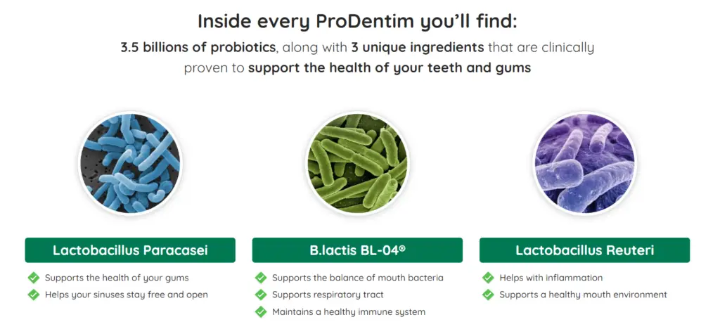 ProDentim Reviews 2024: Infographic displaying key ingredients in ProDentim