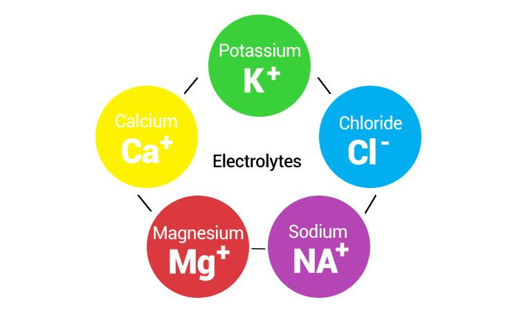 Is electrolyte powder good for weight loss? What Are Electrolytes? 